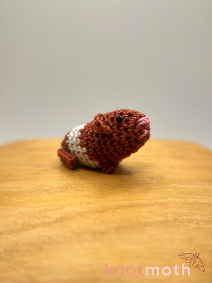 nibbles guinea pig micro crochet plush