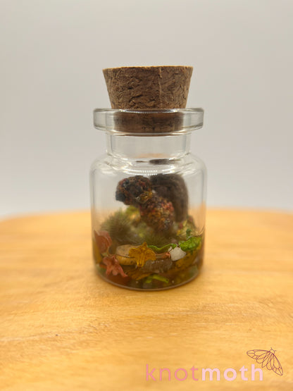 squirrel (pre-order)