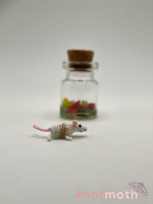 remington rat micro crochet jar