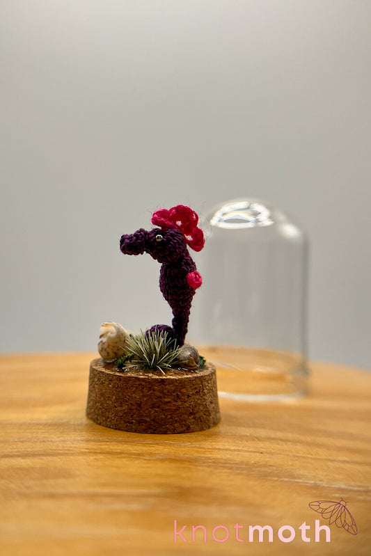 sammy seahorse trinket jar