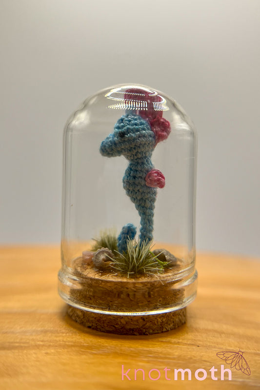 sasha seahorse trinket jar
