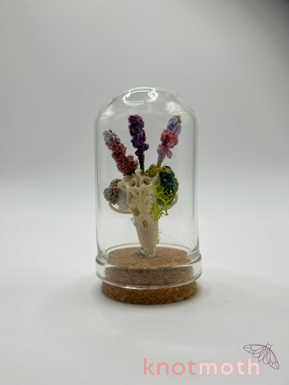 mushrooms & lavender skull micro crochet cloche jar