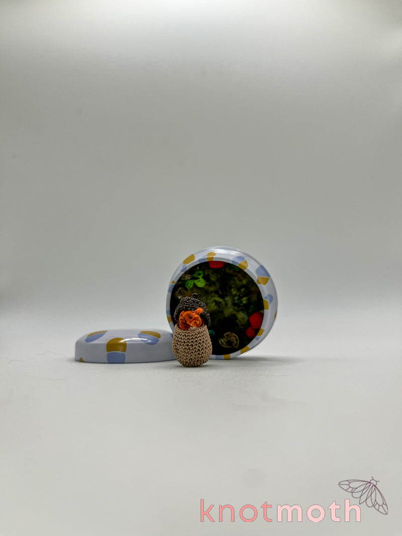 sully squirrel · acorn & mushrooms mini tin