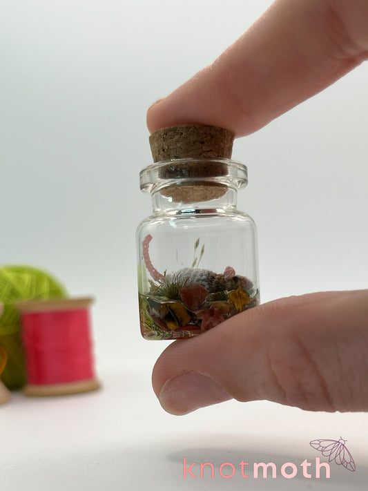 royce rat micro crochet jar