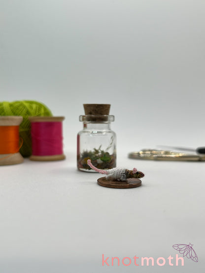 royce rat micro crochet jar