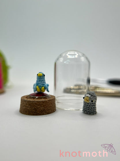 bowie birdie "pigeon" micro crochet dome jar