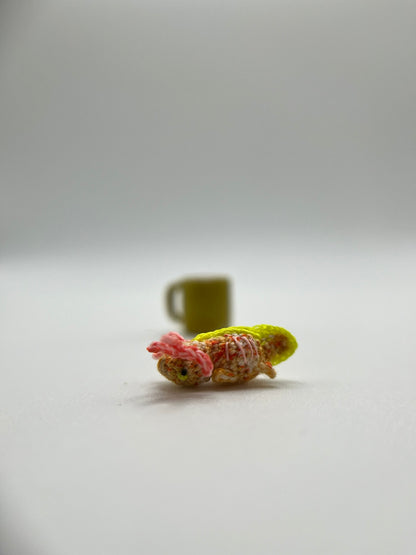 axo-little (pre-order)