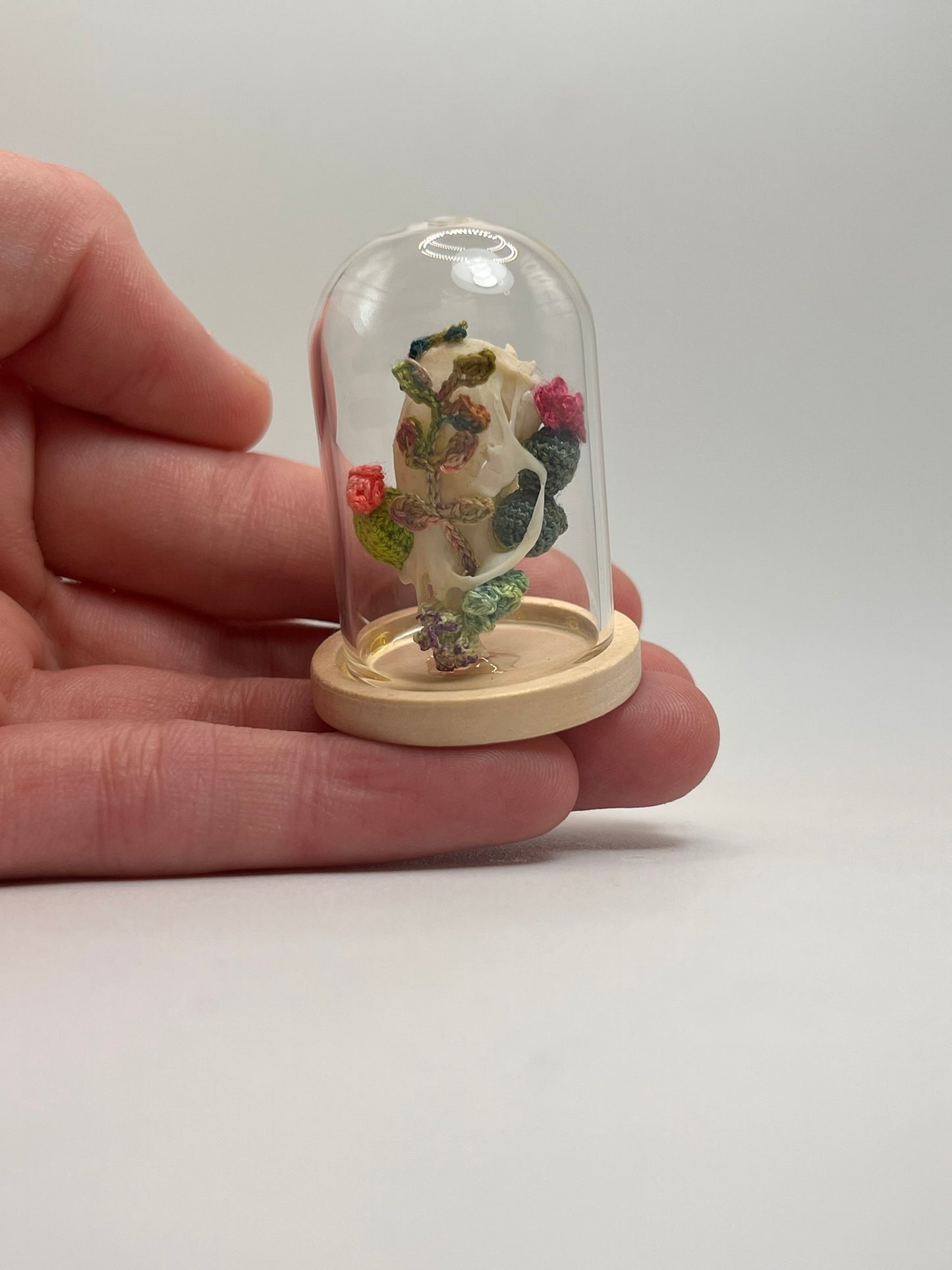 cacti & vines skull - micro-crochet dome jar
