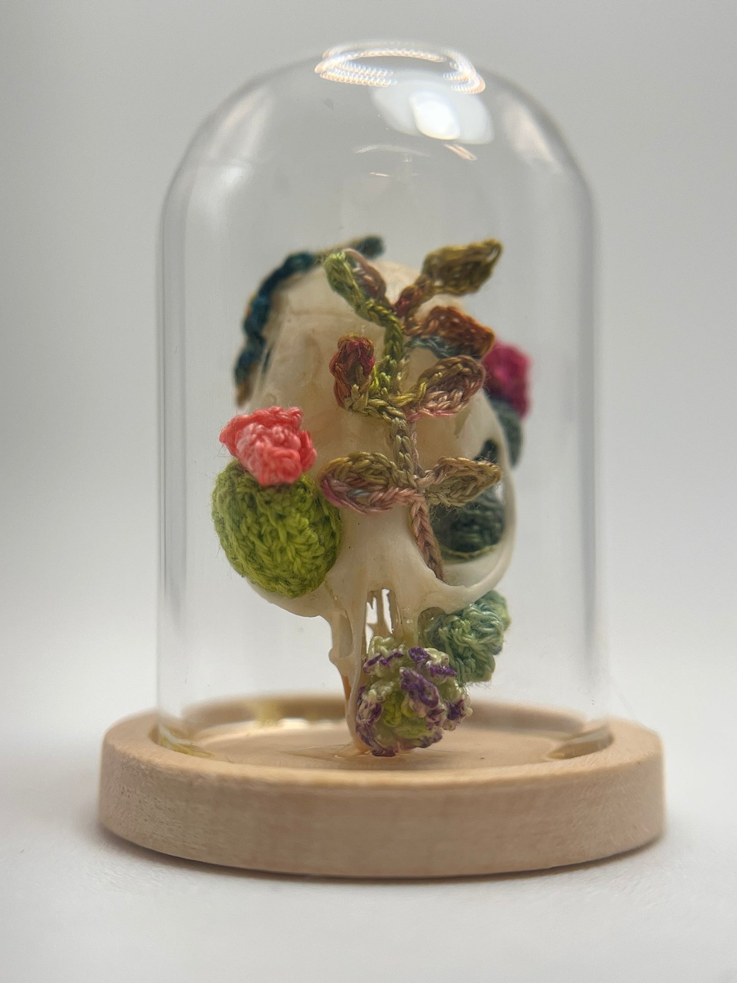 cacti & vines skull - micro-crochet dome jar