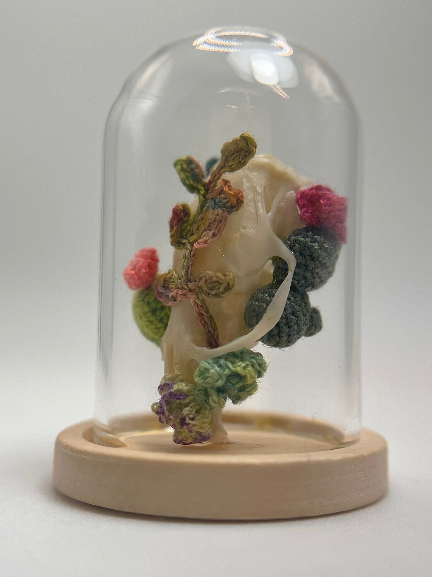 cacti & vines skull - micro-crochet dome jar