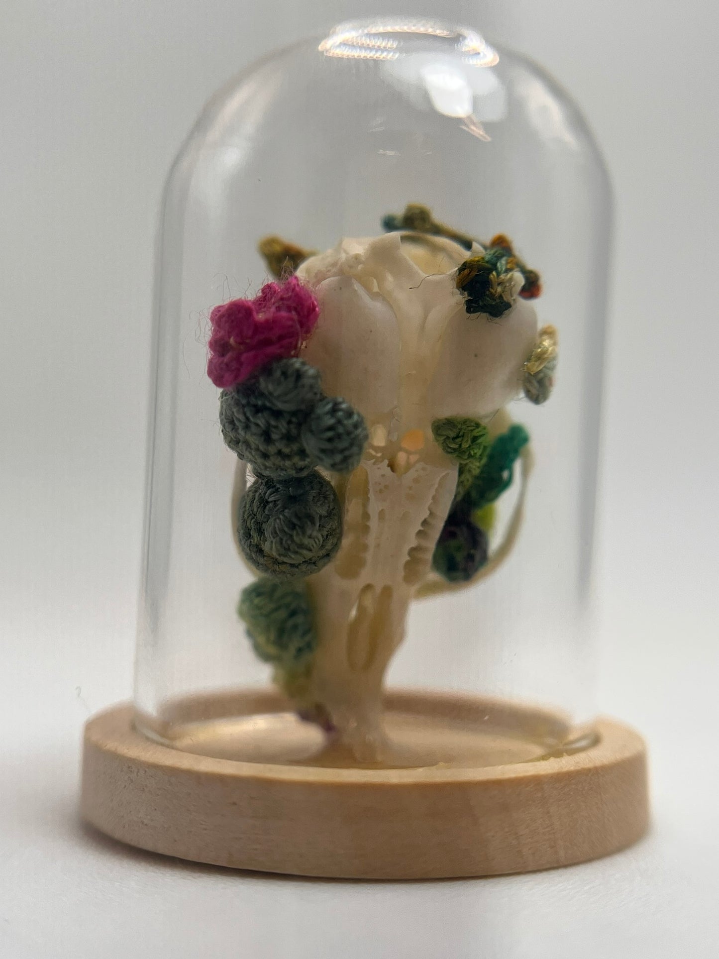 cacti & vines skull - micro-crochet dome jar