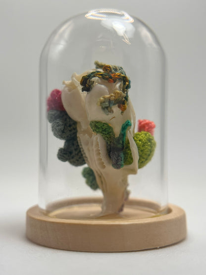 cacti & vines skull - micro-crochet dome jar