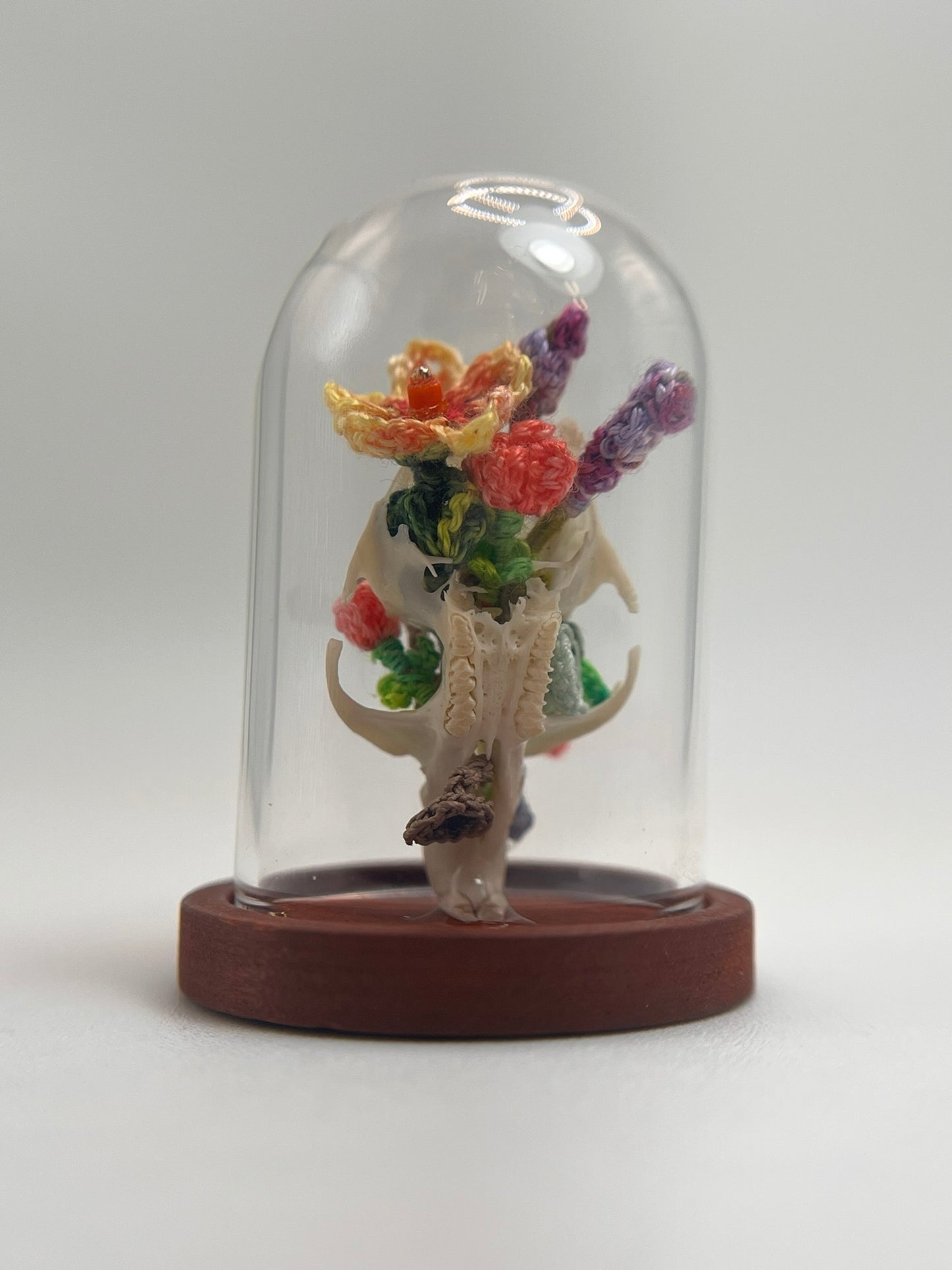 garden blooms & mushrooms skull - micro-crochet dome jar