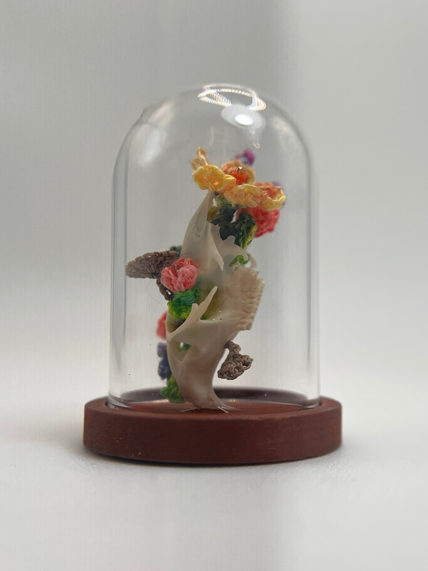 garden blooms & mushrooms skull - micro-crochet dome jar