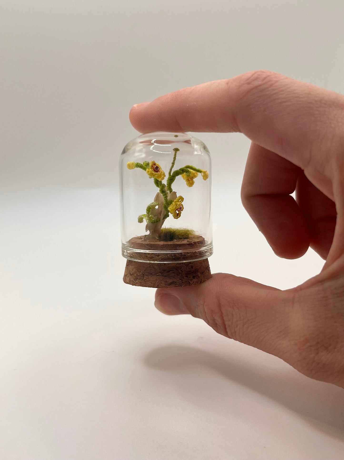 orchid & spine - micro-crochet dome jar