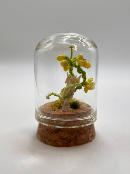 orchid & spine - micro-crochet dome jar