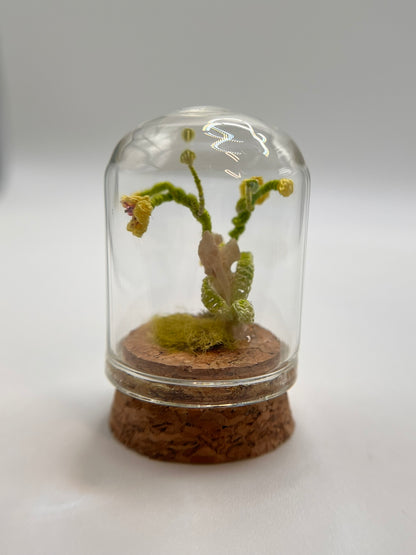 orchid & spine - micro-crochet dome jar