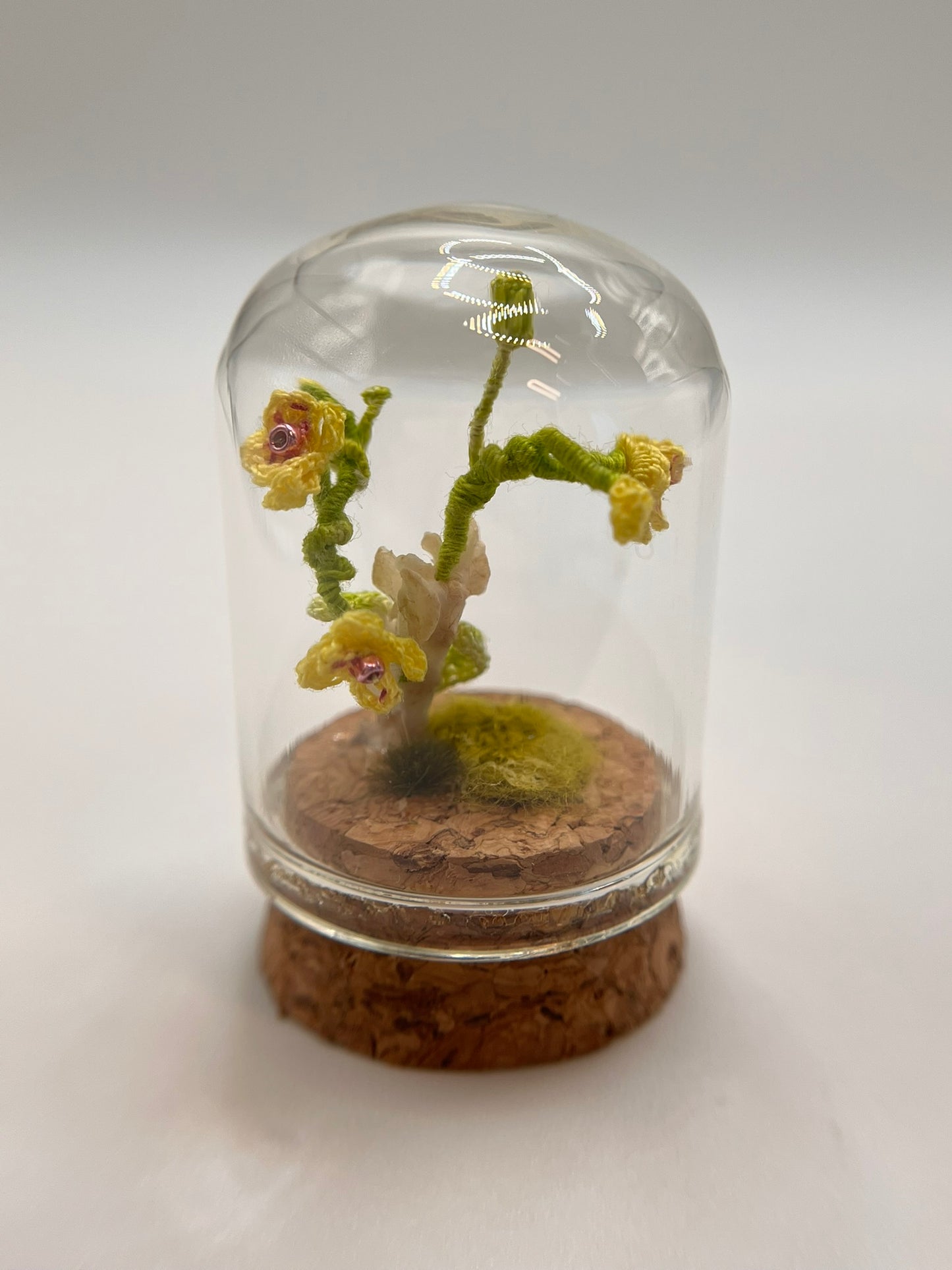 orchid & spine - micro-crochet dome jar