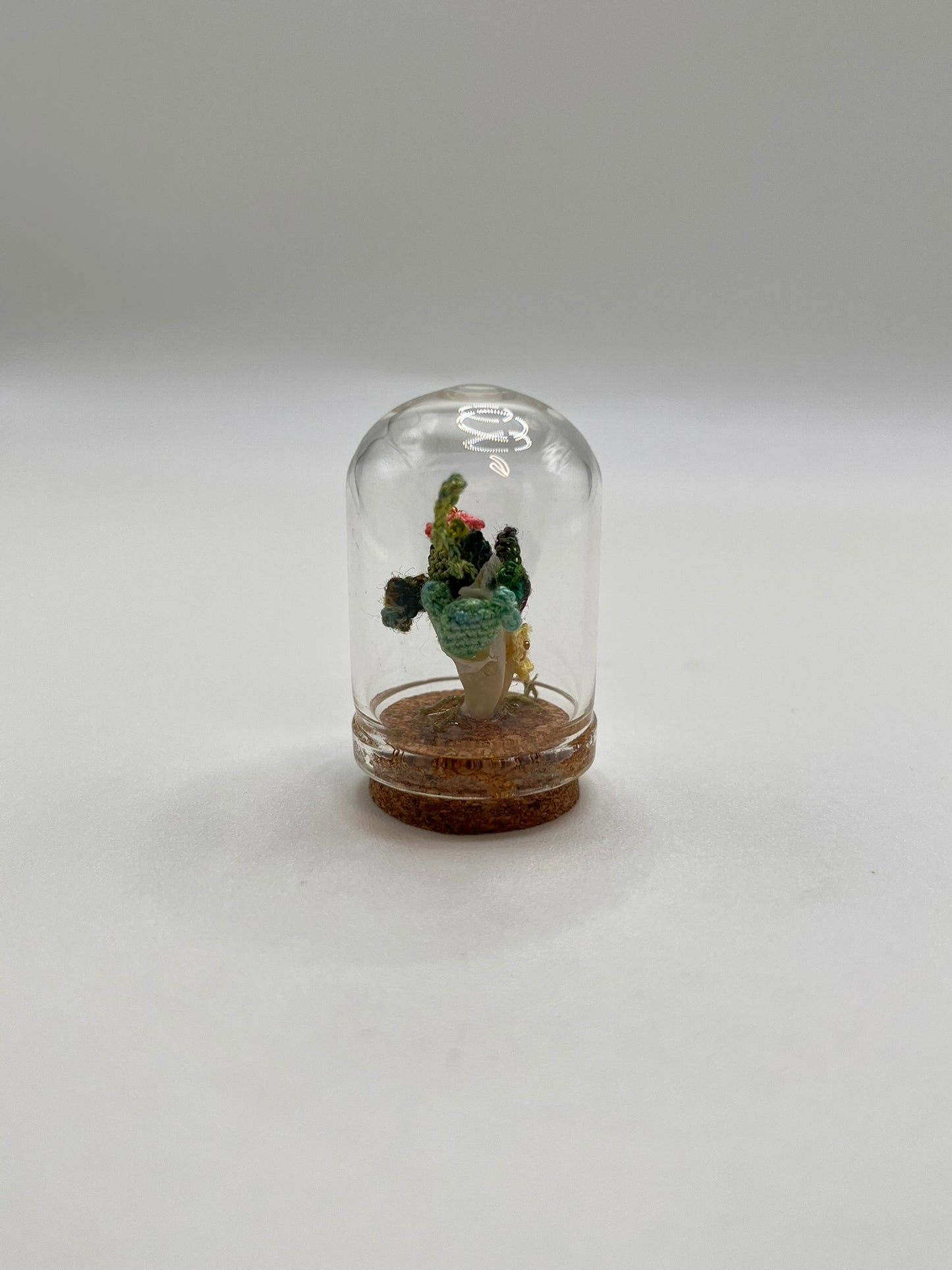 cacti & vines - micro-crochet dome mini jar