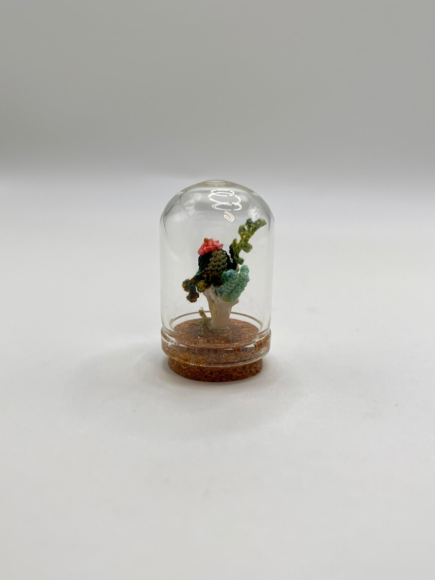 cacti & vines - micro-crochet dome mini jar