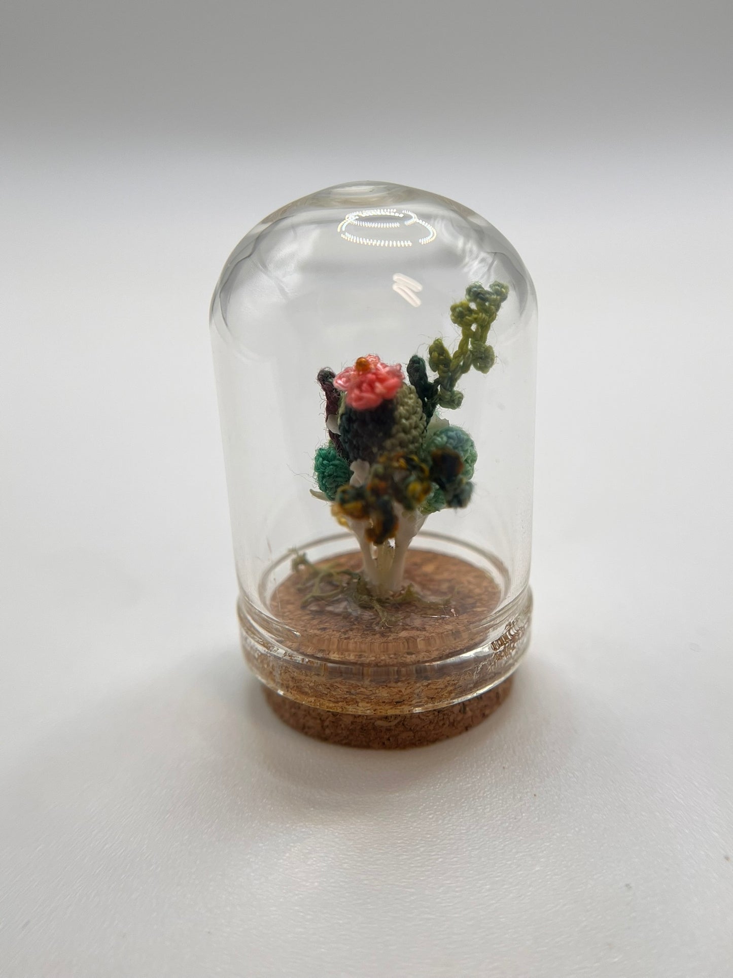 cacti & vines - micro-crochet dome mini jar