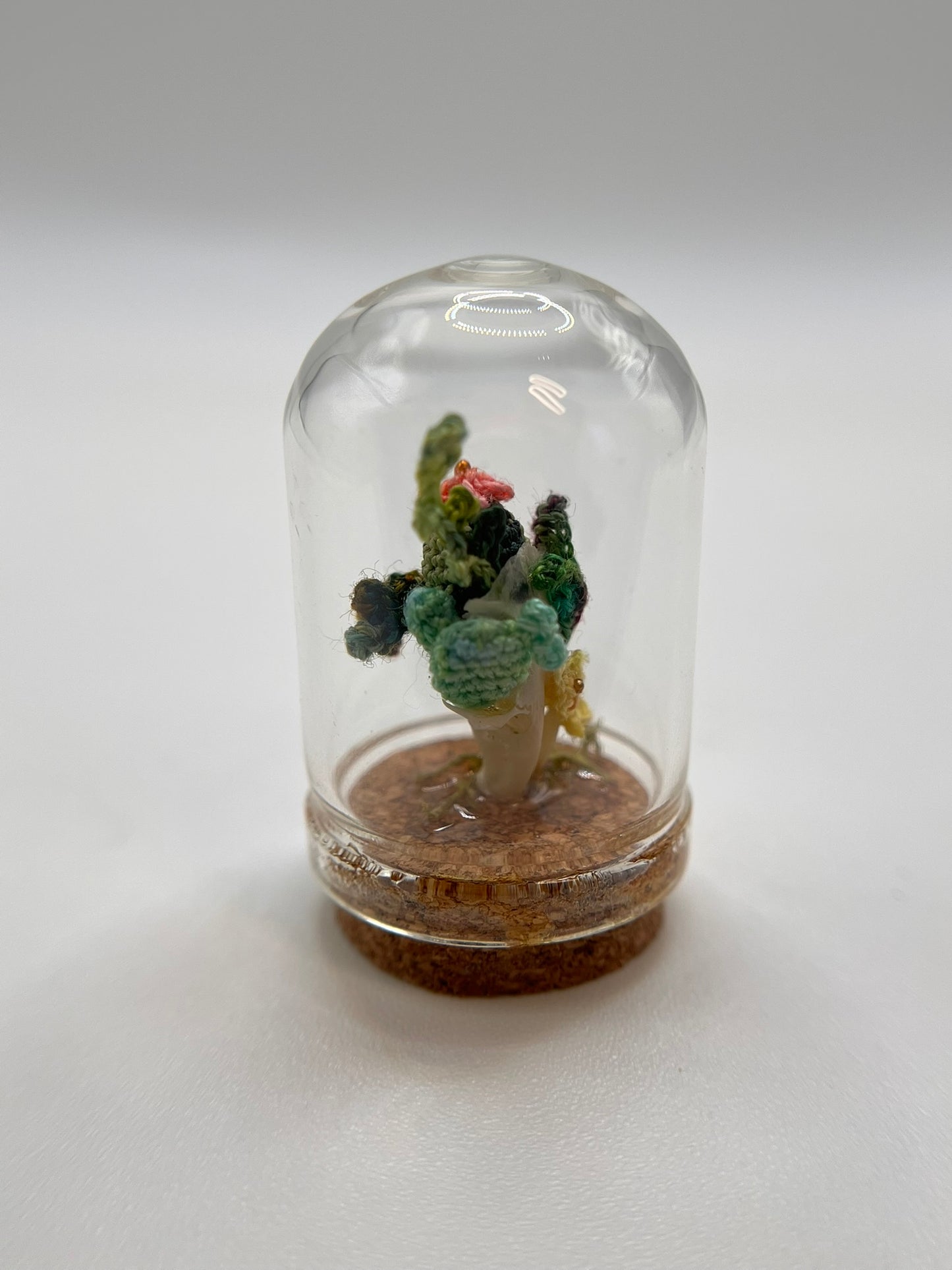 cacti & vines - micro-crochet dome mini jar