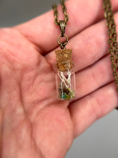 mushroom, sprout & paired hips - bone garden necklace