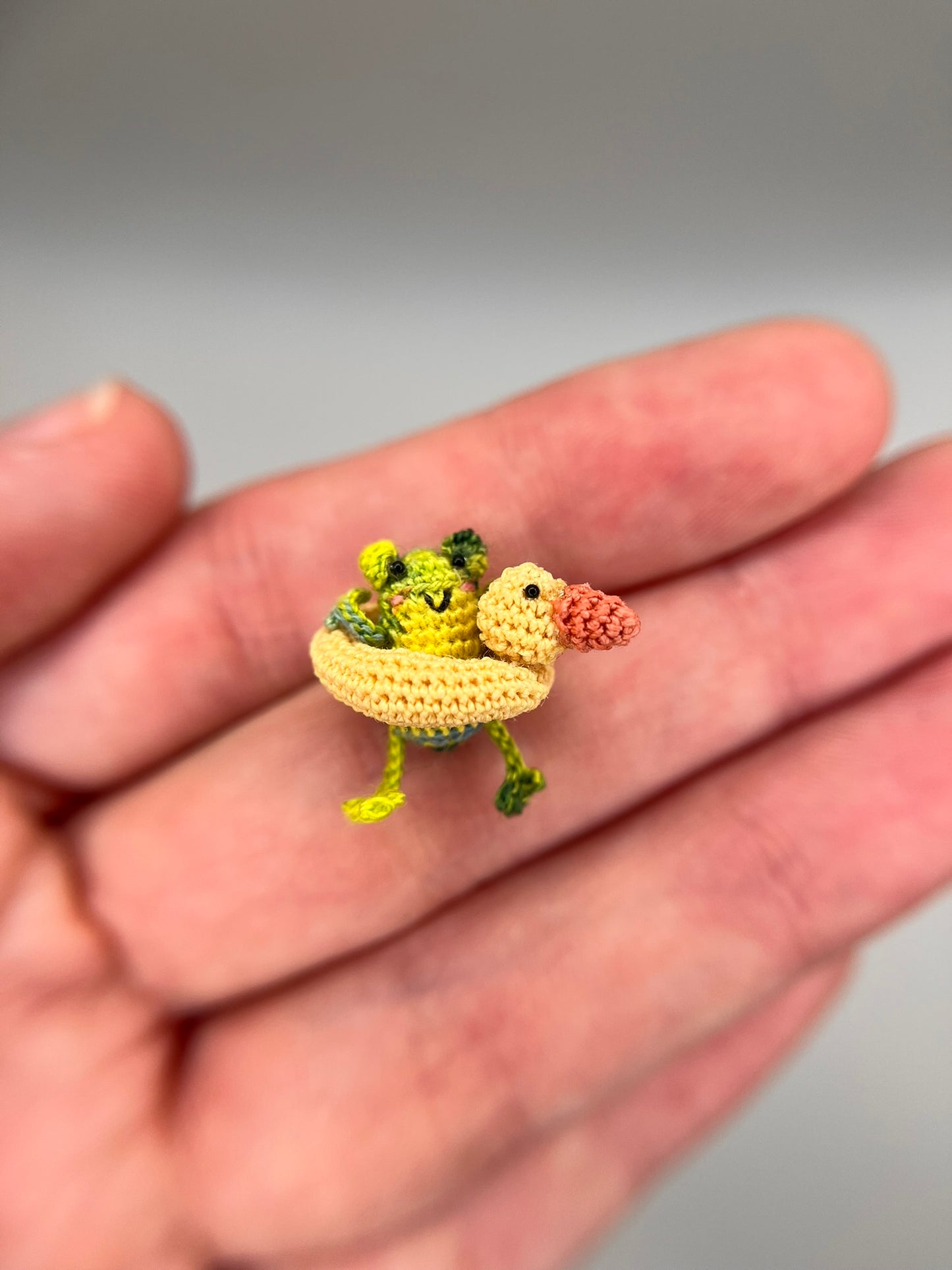 darian frog in ducky floatie fidget toy