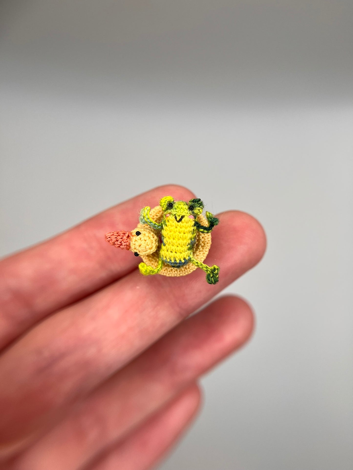 darian frog in ducky floatie fidget toy