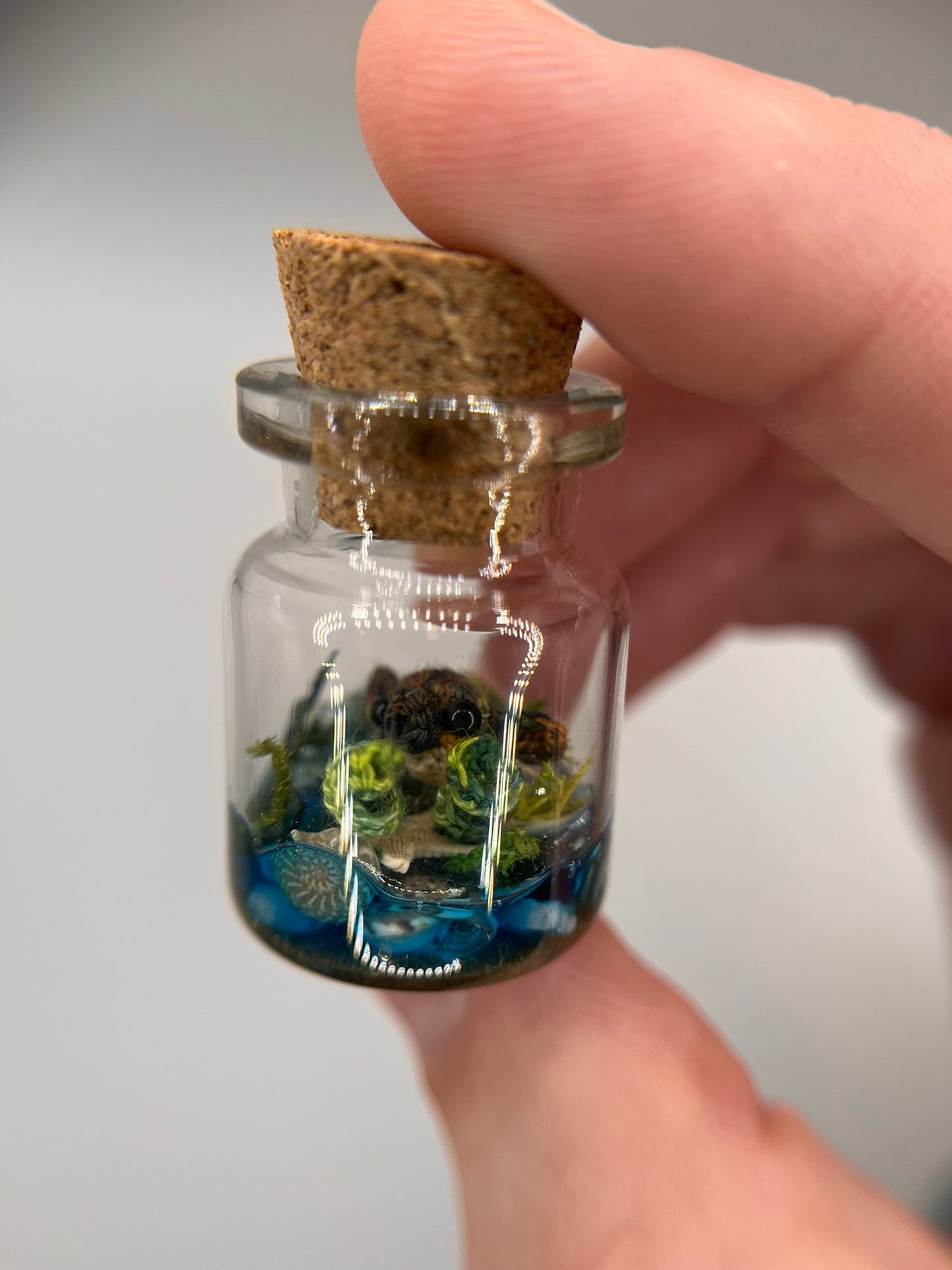 pippa pufferfish - ocean jar