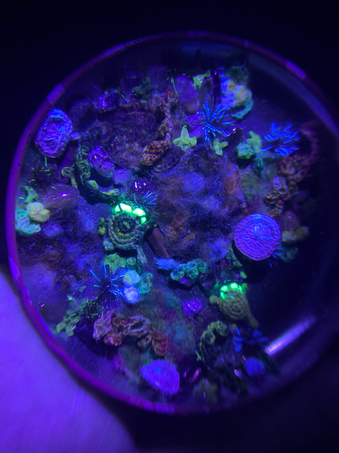 fenric & fablet - frog friends mossy pond scene in a metal tin