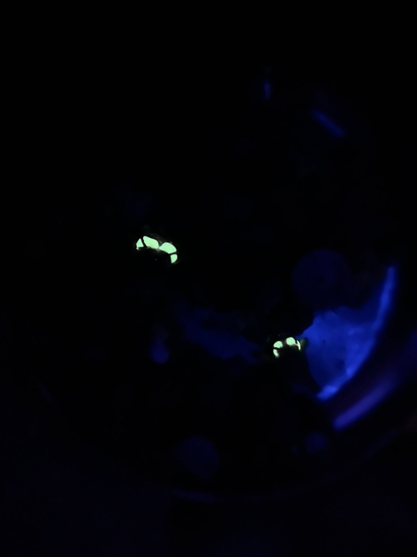 fenric & fablet - frog friends mossy pond scene in a metal tin