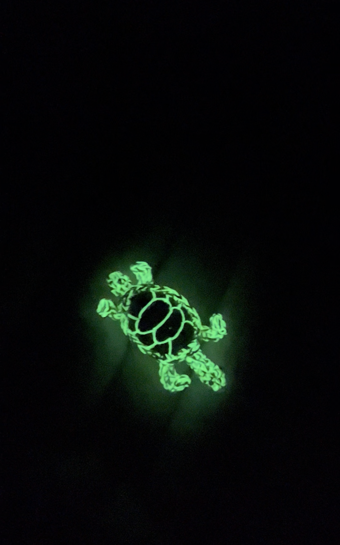 turtle - realistic (pre-order)