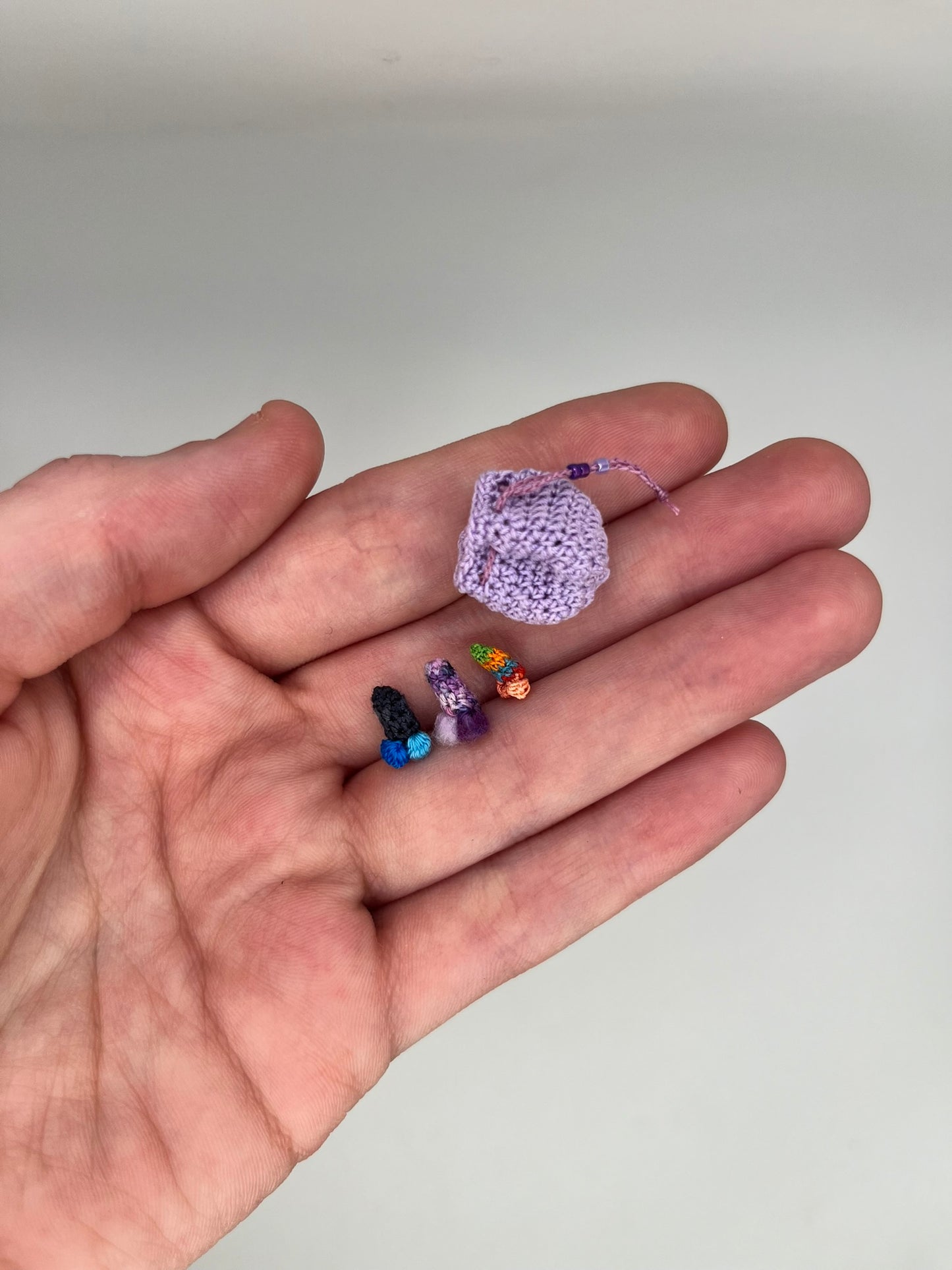 18+ bag of dicks (pre-order)