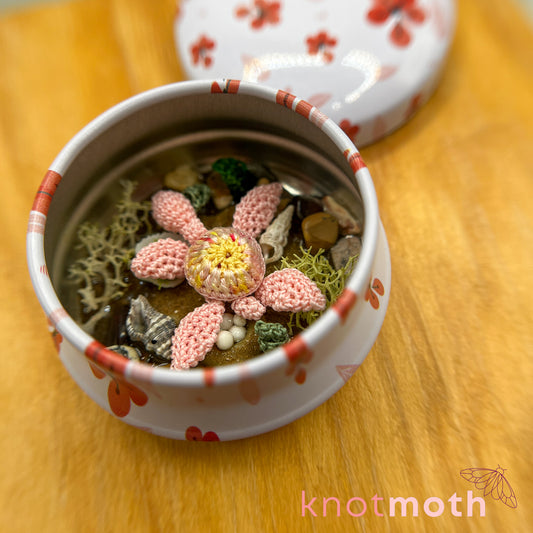 Sylvia Sea Turtle Micro Crochet Tin with Nest (removable, magnetic)