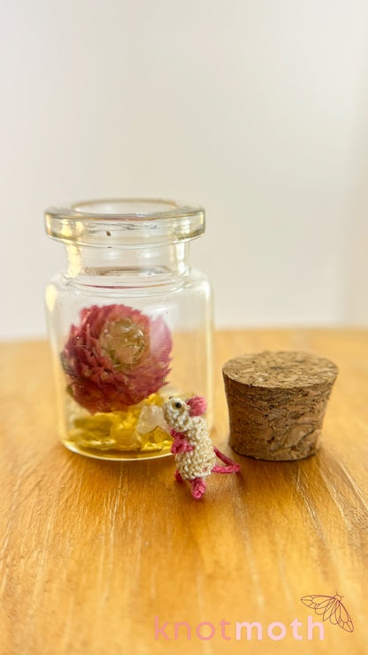 Mildred Mouse Micro Crochet Terrarium Jar (Removable)