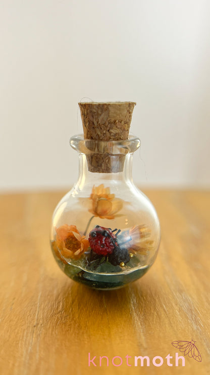 Loretta Ladybug Micro Crochet Terrarium Jar (Magnetic, Removable)