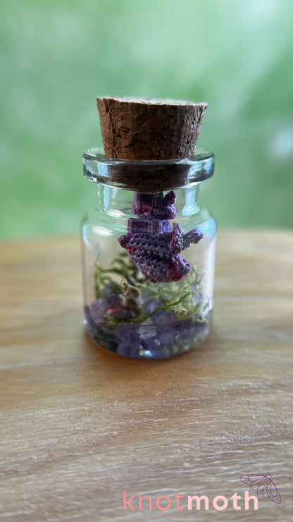 Daphne Dragon with Treasure Chest Micro Crochet Terrarium Jar (removable, magnetic)