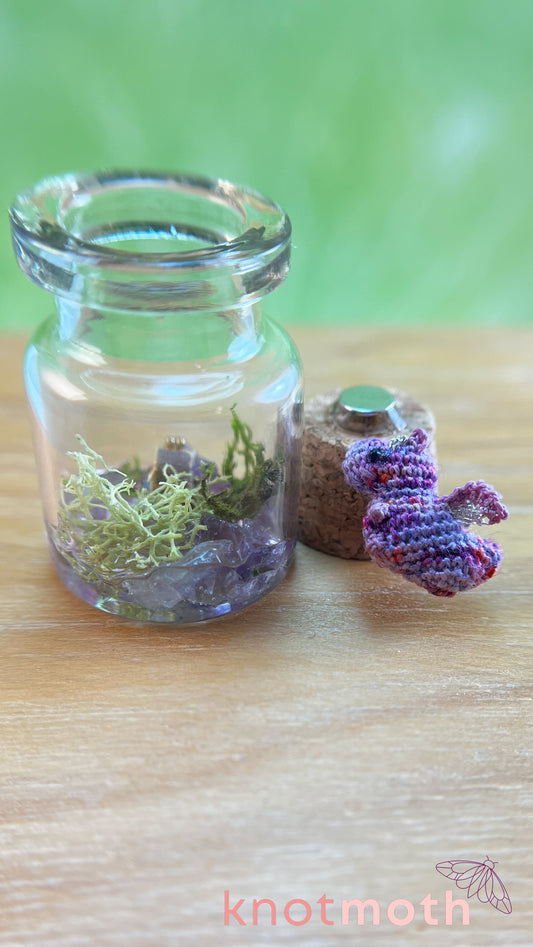 Daphne Dragon with Treasure Chest Micro Crochet Terrarium Jar (removable, magnetic)