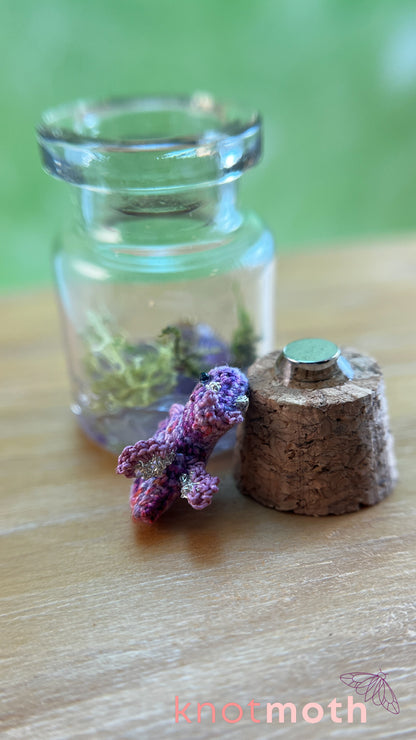 Daphne Dragon with Treasure Chest Micro Crochet Terrarium Jar (removable, magnetic)