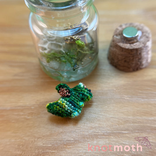 Devon Dragon with Treasure Chest Micro Crochet Terrarium Jar (removable, magnetic)