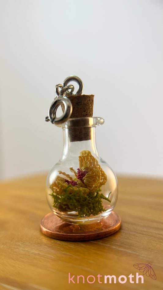 Beatrice Butterfly Terrarium Small Micro Crochet Terrarium Jar