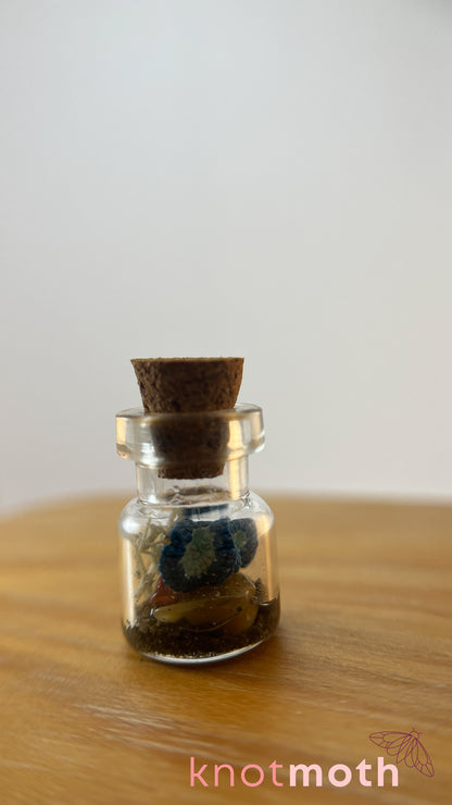 Horace Coral Micro Crochet Aquarium Jar