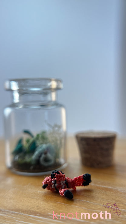 Clownfish and Coral Aquarium Micro Crochet Aquarium Jar (Removable)