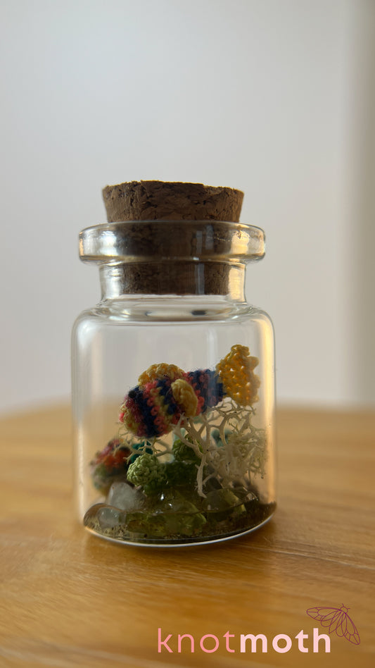 Rainbow Fish and Coral Aquarium Medium Micro Crochet Specimen Jar (Removable)