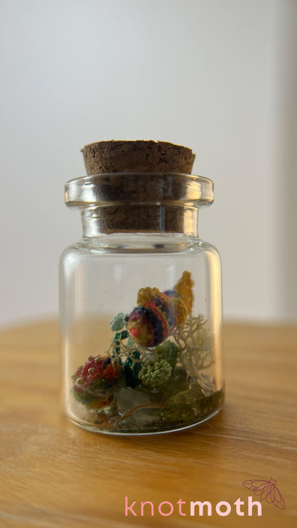 Rainbow Fish and Coral Aquarium Medium Micro Crochet Specimen Jar (Removable)
