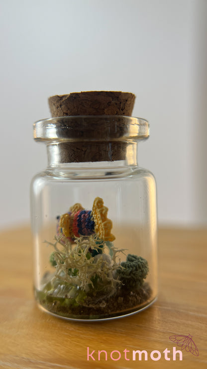 Rainbow Fish and Coral Aquarium Medium Micro Crochet Specimen Jar (Removable)