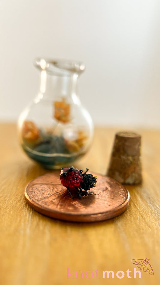 Loretta Ladybug Micro Crochet Terrarium Jar (Magnetic, Removable)