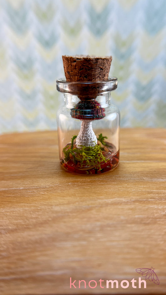 Molly Mushroom Micro Crochet Terrarium Jar (removable, magnetic)