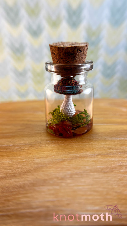 Molly Mushroom Micro Crochet Terrarium Jar (removable, magnetic)